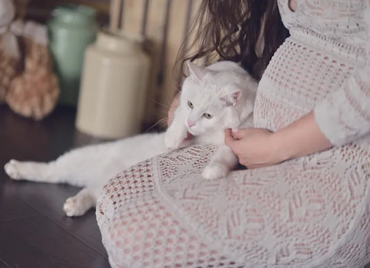 5 cosas que debes saber de la toxoplasmosis y los gatos (si quieres quedar embarazada o lo estás)