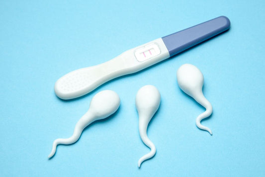 ¿Por qué las eyaculaciones regulares son importantes para la fertilidad masculina? Blog Dew Navarrete